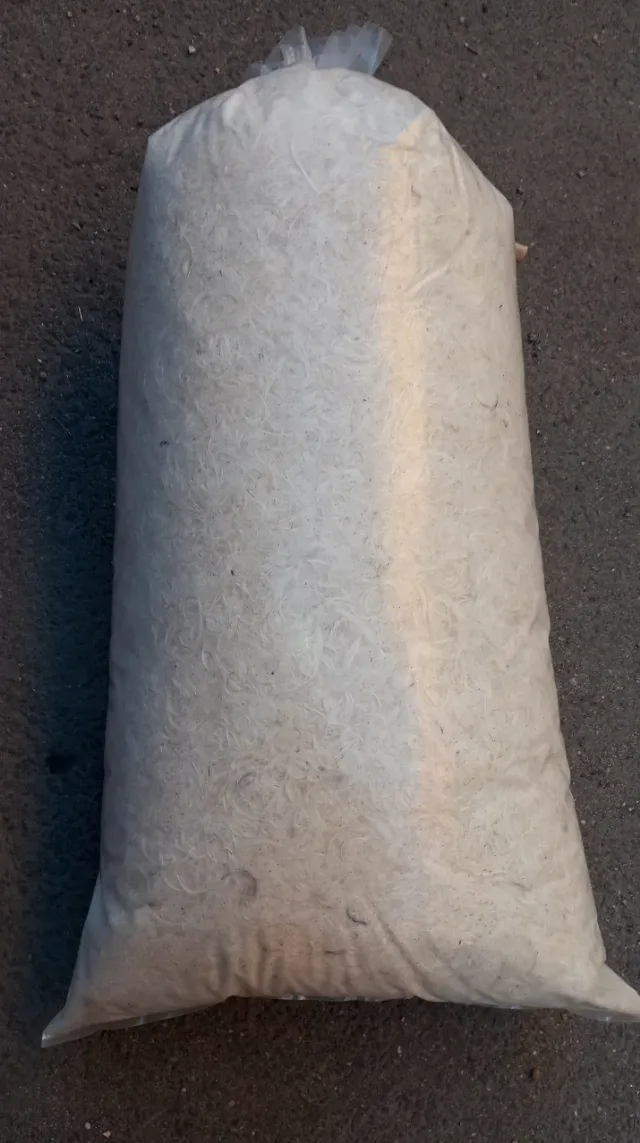 Pene gîscă. 80 lei/kg – Arad, Arad