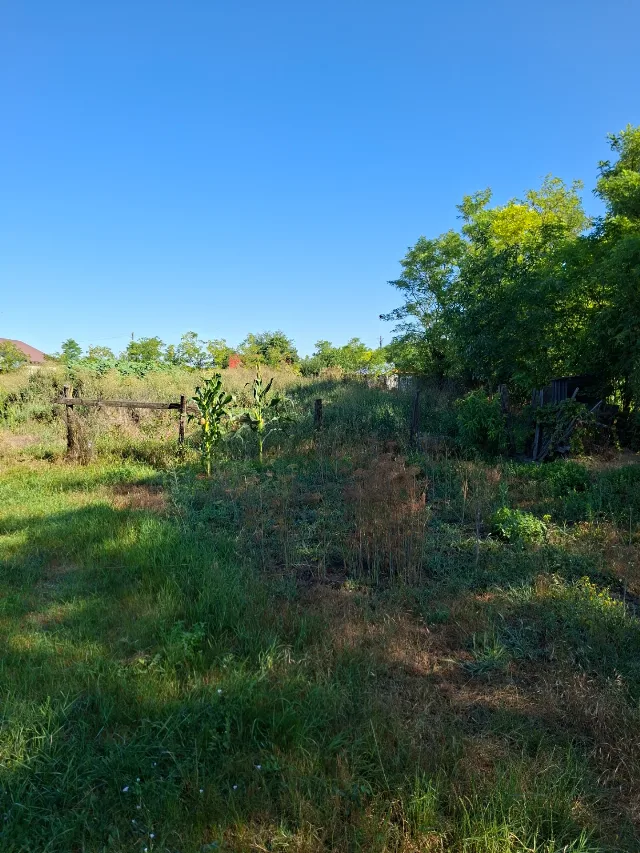 Vând casă și gradina – fotografia 5 din 7