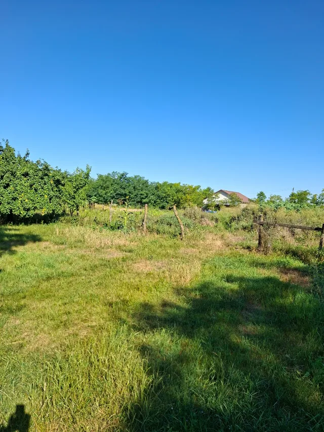 Vând casă și gradina – fotografia 7 din 7
