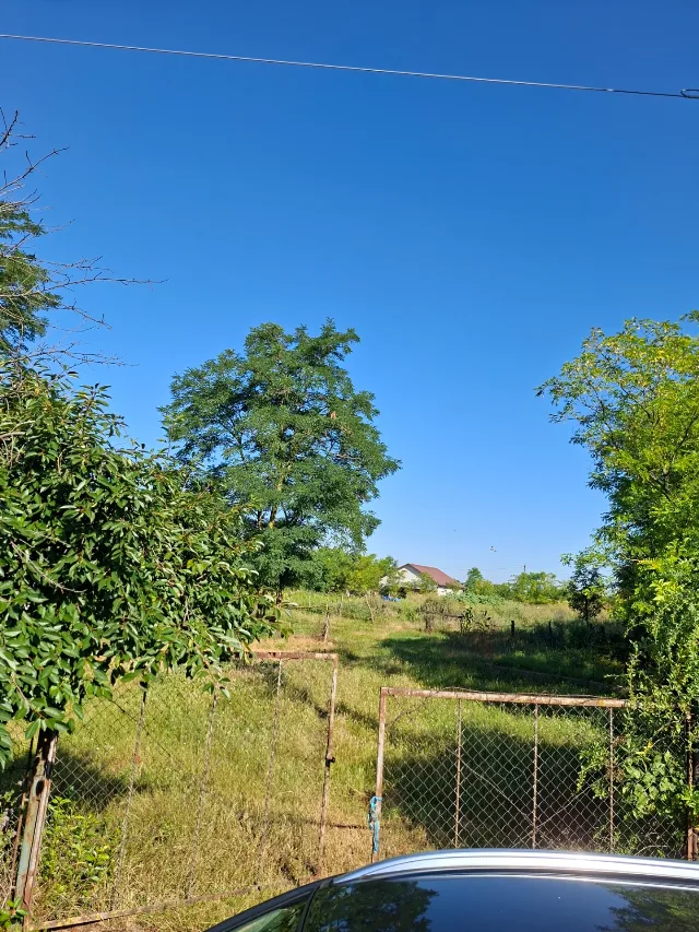 Vând casă și gradina – fotografia 4 din 7