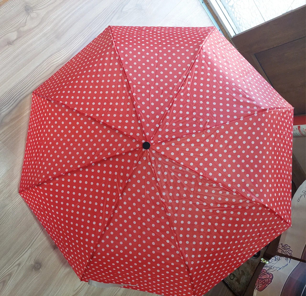 Umbrelă  cu buline. – Oradea, Bihor