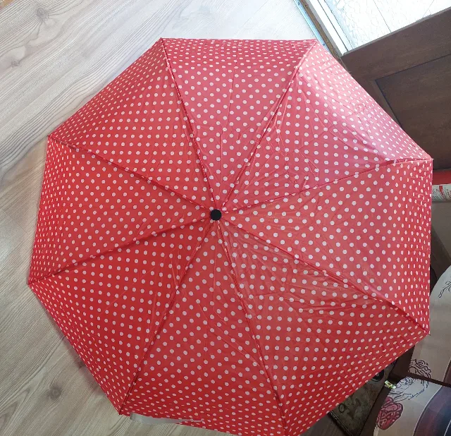 Umbrelă  cu buline. – Oradea, Bihor