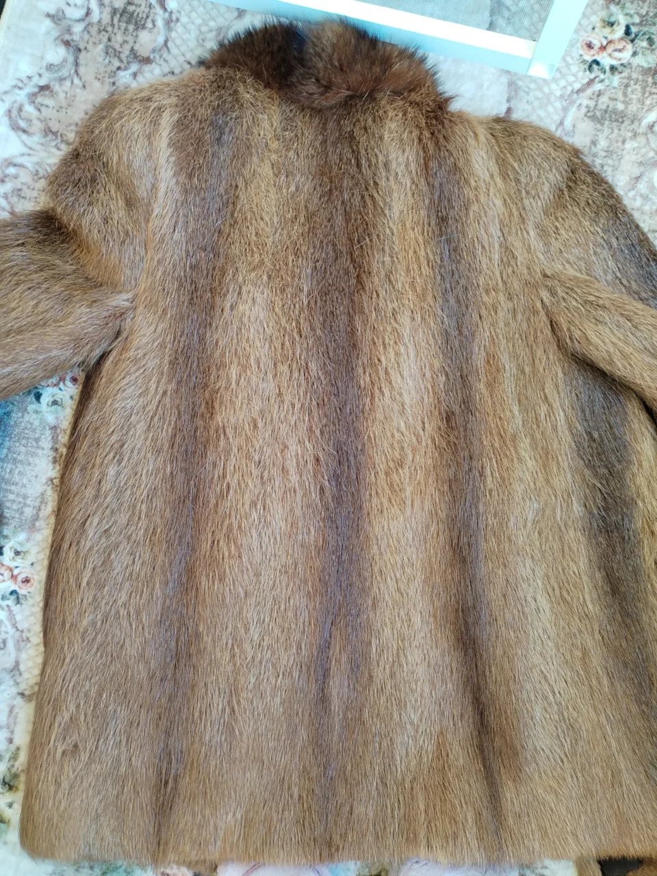 blană dama naturala – BM, Maramureș