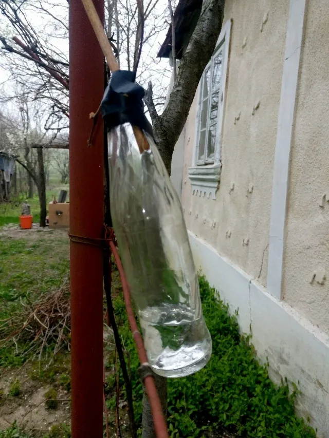 LACRIMA VIŢEI-DE-VIE  100% NATURALA – fotografia 4 din 7
