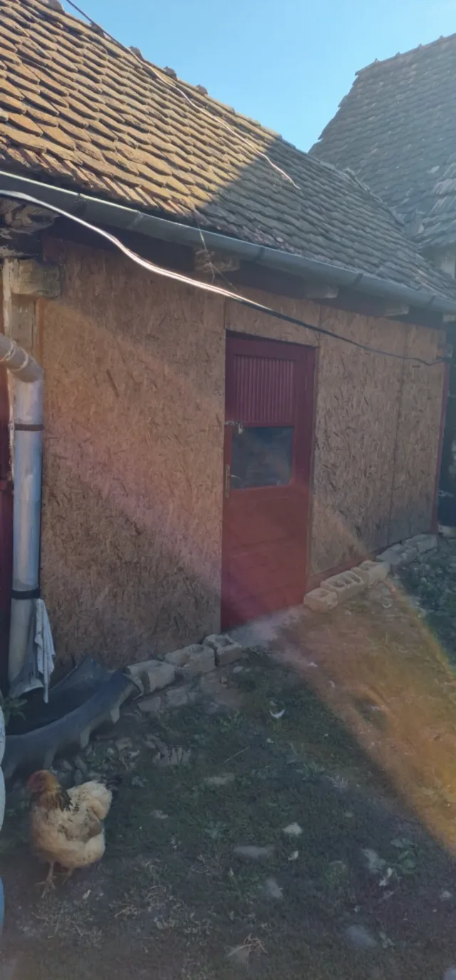 Gospodărie autentică de vânzare în sat Mihai Viteazu, jud. Mureș – teren generos și dependințe – fotografia 5 din 8