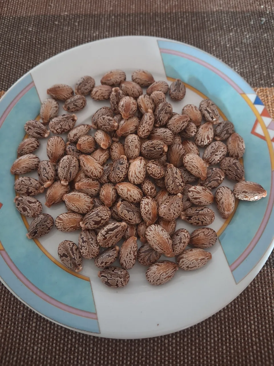 seminte de ricin – fotografia 1 din 2