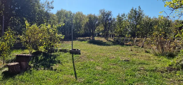 Gospodărie autentică de vânzare în sat Mihai Viteazu, jud. Mureș – teren generos și dependințe – fotografia 7 din 8