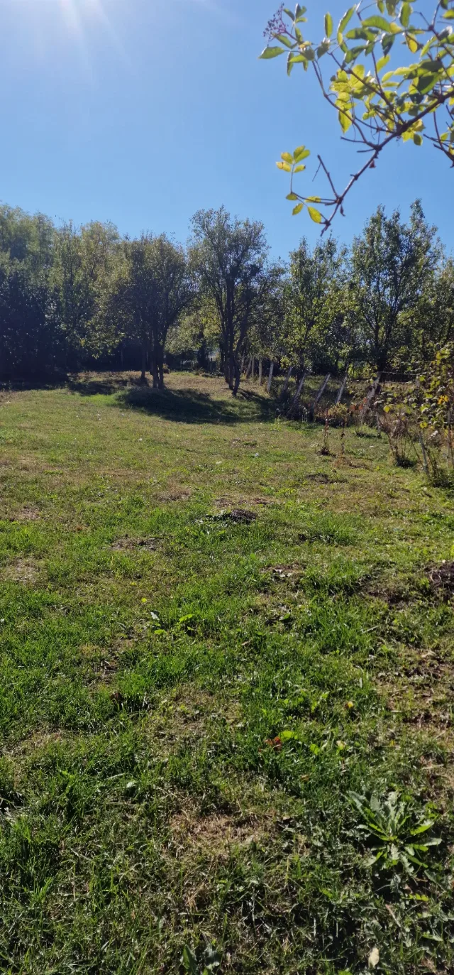Gospodărie autentică de vânzare în sat Mihai Viteazu, jud. Mureș – teren generos și dependințe – fotografia 8 din 8