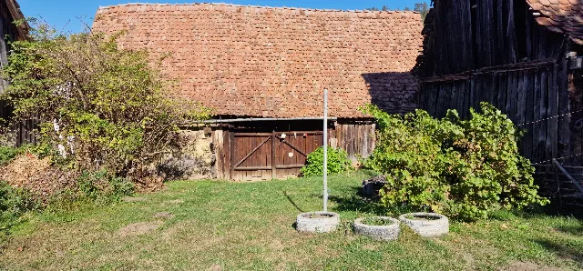Gospodărie autentică de vânzare în sat Mihai Viteazu, jud. Mureș – teren generos și dependințe – fotografia 6 din 8