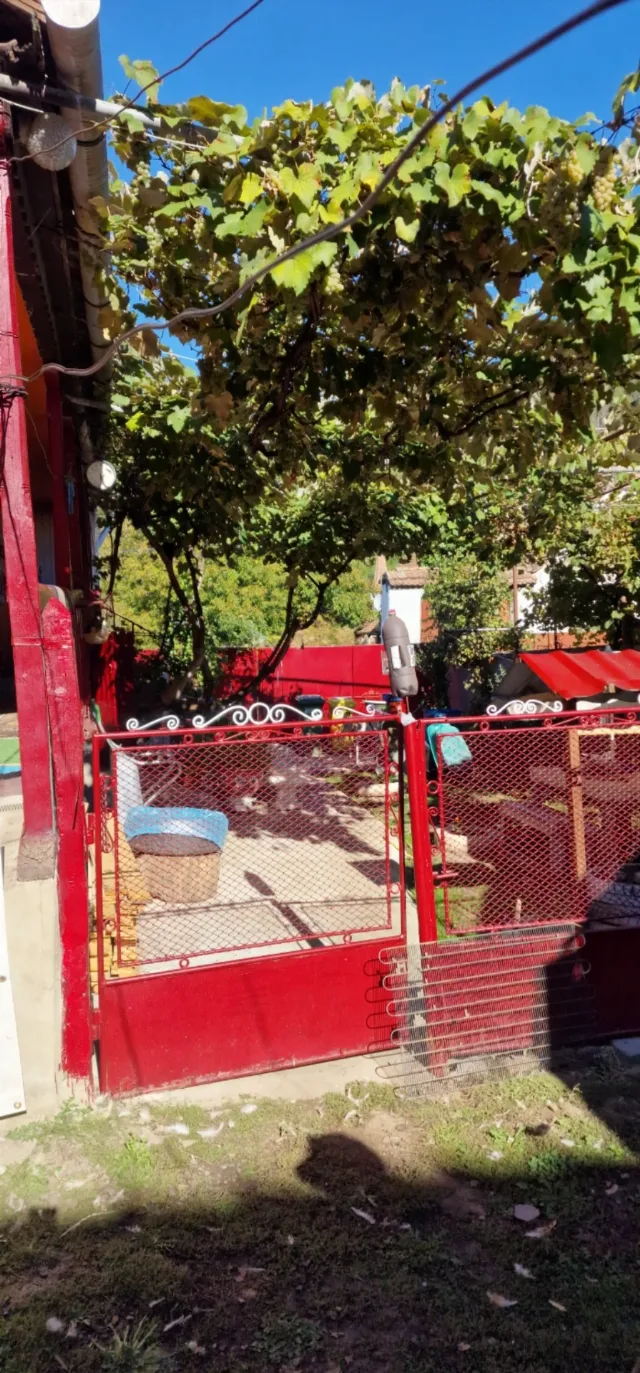 Gospodărie autentică de vânzare în sat Mihai Viteazu, jud. Mureș – teren generos și dependințe – fotografia 4 din 8
