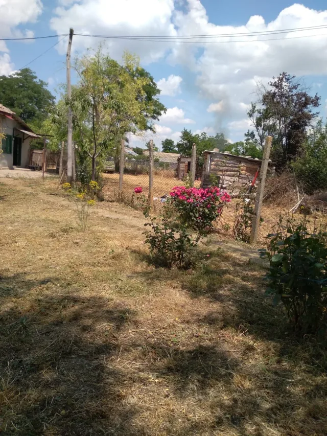 Casa de vanzare -locuibila – fotografia 5 din 8
