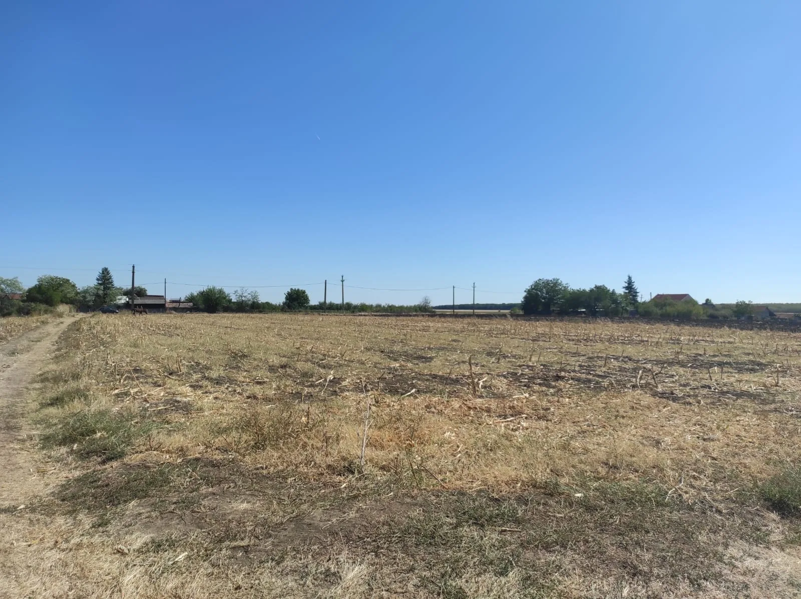 vind teren intravilan,3556mp, 28 m deschidere com Vilcelejud Olt – Slatina, Olt