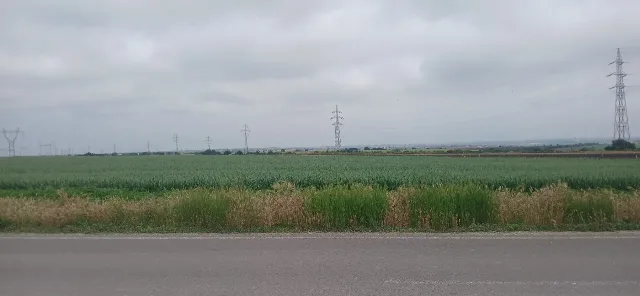 Teren extravilan în Constanta – fotografia 4 din 6