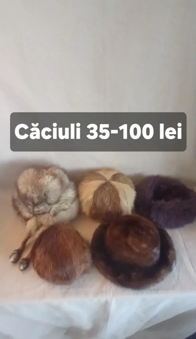 Căciuli din blana – Constanța, Constanța