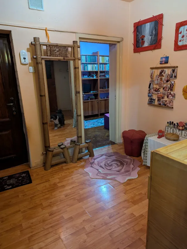 Ofer spre vanzare apartament suprafata 100 mp suprafata construita, ultracentral, Baia Mare, strada Moldovei, una din zonele cele mai de interes – fotografia 5 din 8