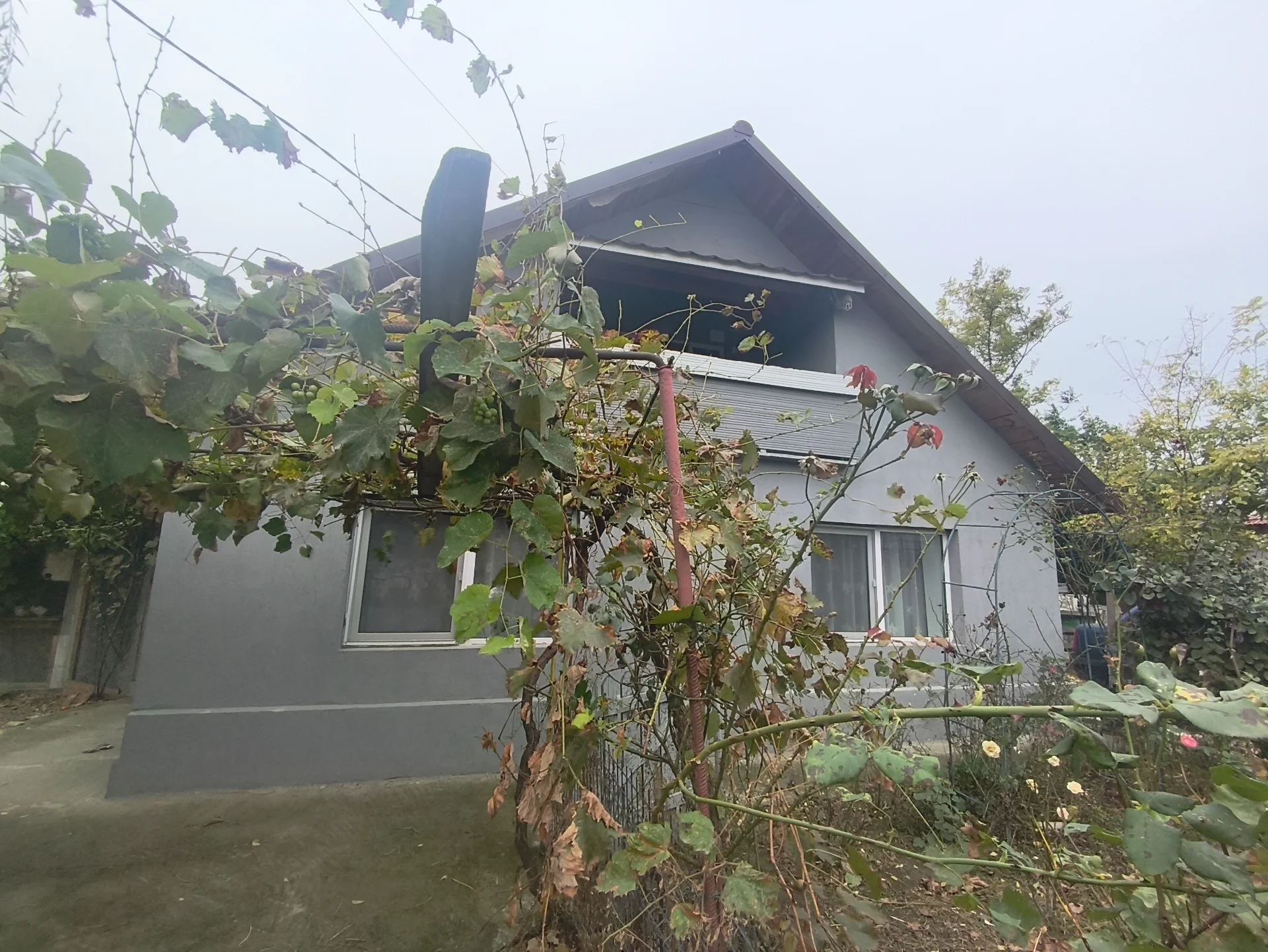 Casă de vânzare comuna Crucea, Constanța – fotografia 1 din 8