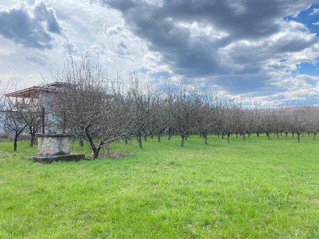 Teren intravilan ( 7000 mp ) – fotografia 4 din 7