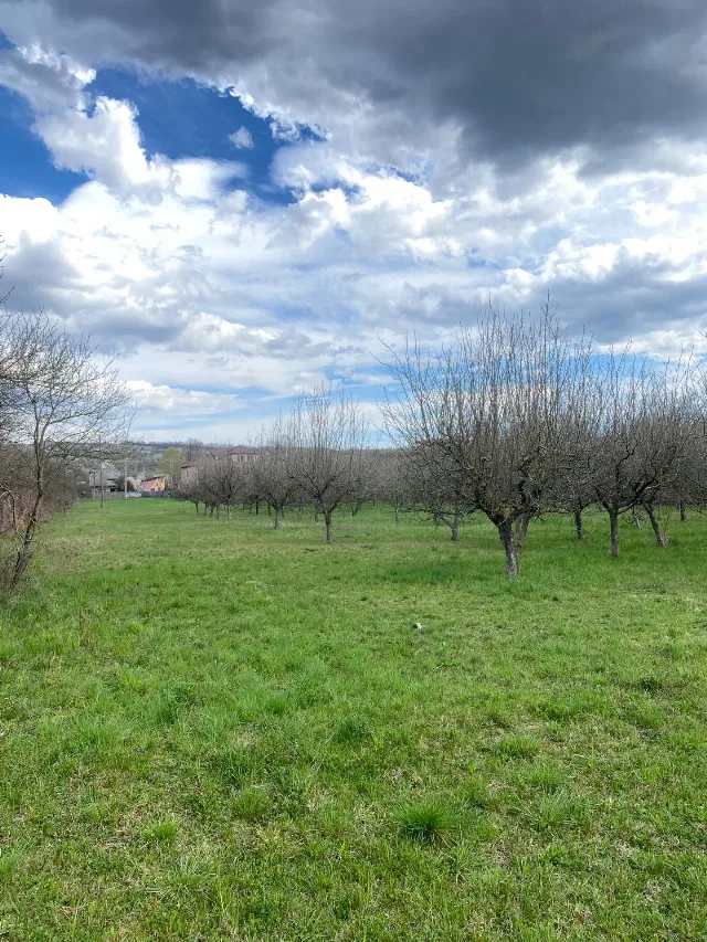 Teren intravilan ( 7000 mp ) – fotografia 6 din 7