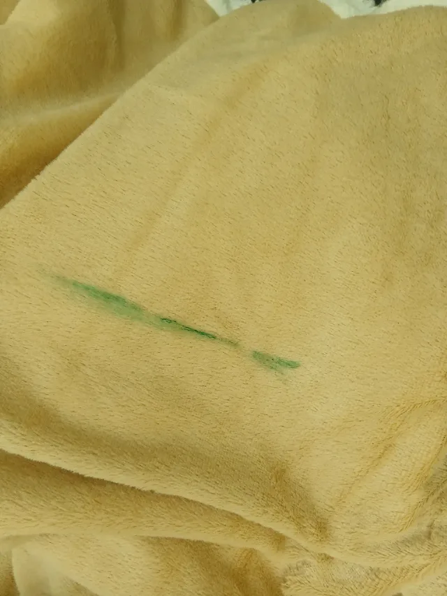 Vând două paturi noi. Una are un mic defect,sau se duce la spalare,nu stiu ca e nouă si n am spalat-o. – fotografia 4 din 4